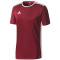 Koszulka Sportowa Adidas Entrada 18 Jersey Junior CE9564 bordowa