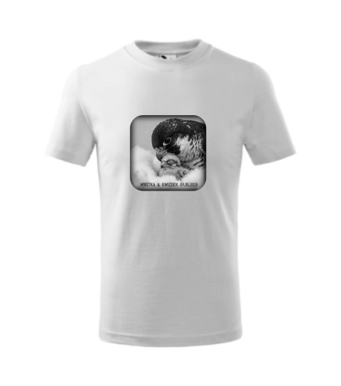 SOKOLE OKO KOSZULKA MĘSKA WROTKA & GWIZDEK