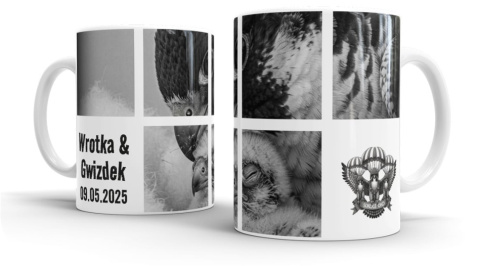 SOKOLE OKO KUBEK WROTKA & GWIZDEK 1