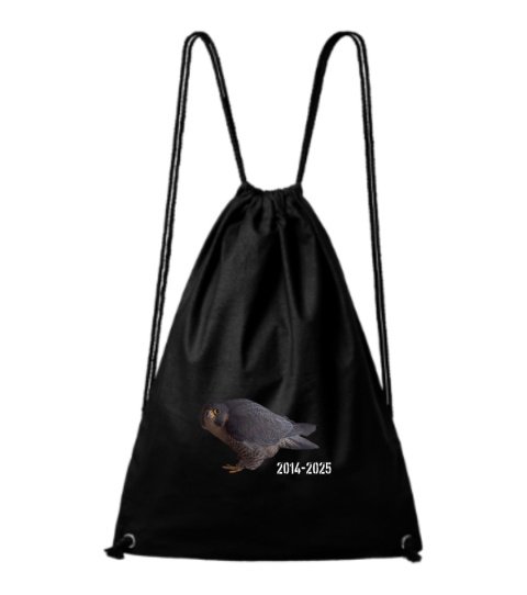 SOKOLE OKO WOREK SPORTOWY WROTKA - ROK